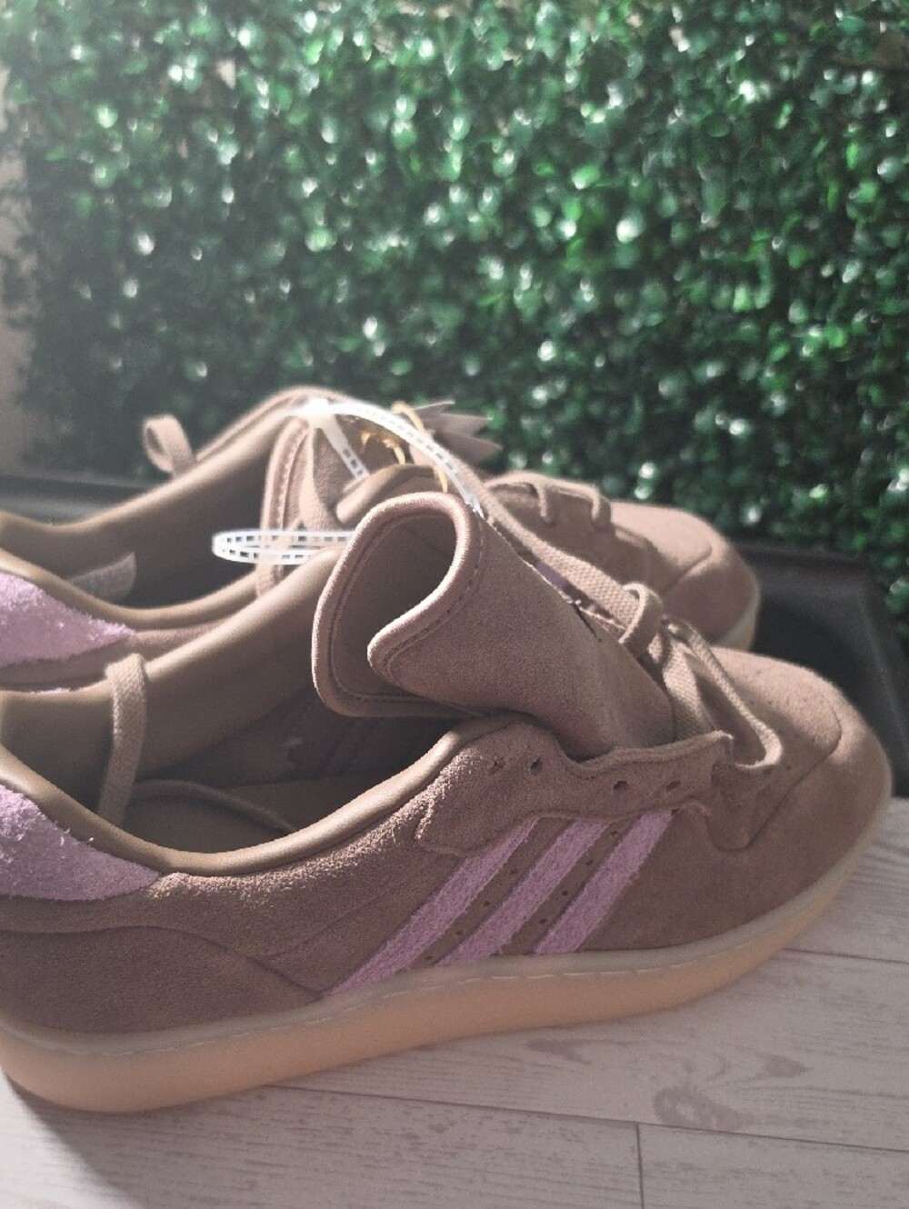 Adidas Rivalry - Picture 7 of 7